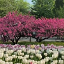 北京旅游 缩略图 1