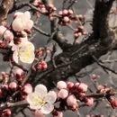 北京旅游 缩略图 8
