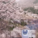 北京旅游 缩略图 4