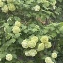 北京旅游 缩略图 12