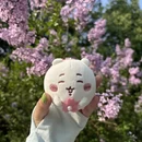 北京旅游 缩略图 14