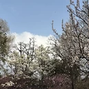 北京旅游 缩略图 3