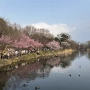 北京旅游 缩略图 4