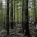 北京旅游 缩略图 16