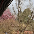 北京旅游 缩略图 2