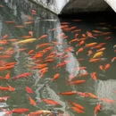 北京旅游 缩略图 6