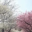 北京旅游 缩略图 7