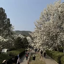 北京旅游 缩略图 5