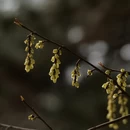 北京旅游 缩略图 11