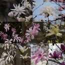 北京旅游 缩略图 13