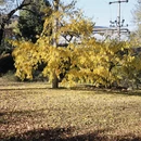 北京旅游 缩略图 5