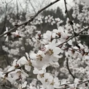 北京旅游 缩略图 5