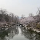 北京旅游 缩略图 3