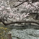 北京旅游 缩略图 7