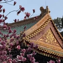 北京旅游 缩略图 1