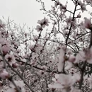 北京旅游 缩略图 6