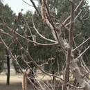 北京旅游 缩略图 12