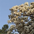 北京旅游 缩略图 2