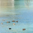 北京旅游 缩略图 6