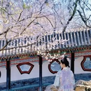 北京旅游 缩略图 10