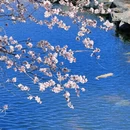 北京旅游 缩略图 7