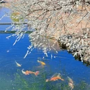 北京旅游 缩略图 2