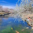 北京旅游 缩略图 3