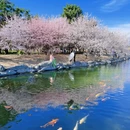 北京旅游 缩略图 1