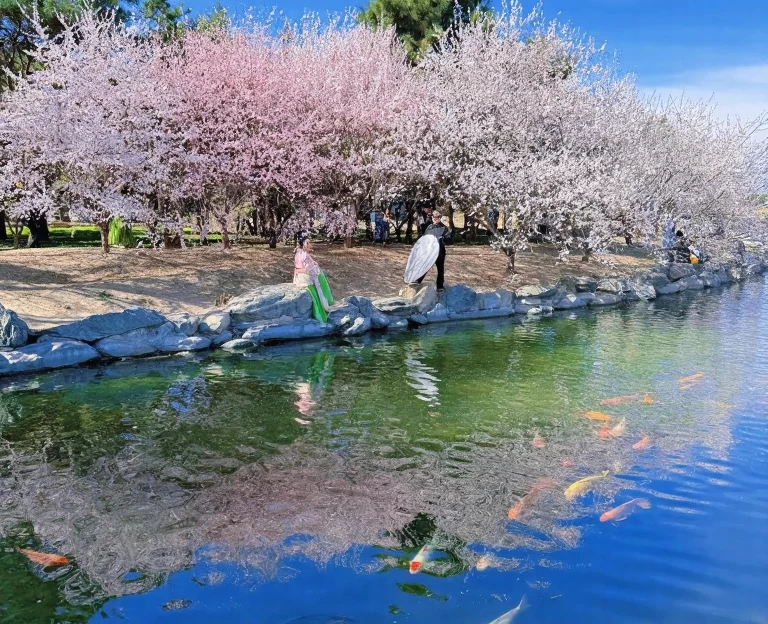 北京旅游 1