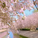 北京旅游 缩略图 1