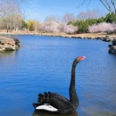 北京旅游 缩略图 6