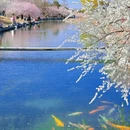 北京旅游 缩略图 4