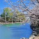 北京旅游 缩略图 8
