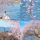 北京旅游 缩略图 5