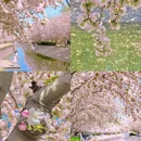 北京旅游 缩略图 3