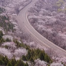 北京旅游 缩略图 5
