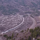 北京旅游 缩略图 3