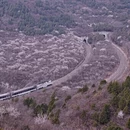 北京旅游 缩略图 2