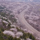 北京旅游 缩略图 4