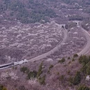 北京旅游 缩略图 1