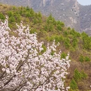 北京旅游 缩略图 11