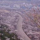 北京旅游 缩略图 9