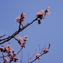 北京旅游 缩略图 15