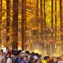 北京旅游 缩略图 1