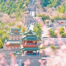 北京旅游 缩略图 6