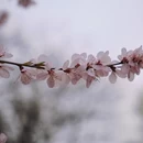 北京旅游 缩略图 16