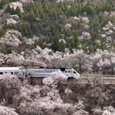 北京旅游 缩略图 2