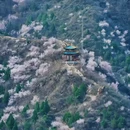 北京旅游 缩略图 4