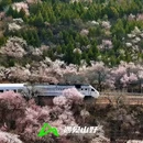 北京旅游 缩略图 3