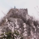 北京旅游 缩略图 6